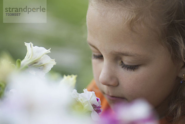 Ein junges Mädchen  das sich darauf konzentriert  eine Blume zu riechen.