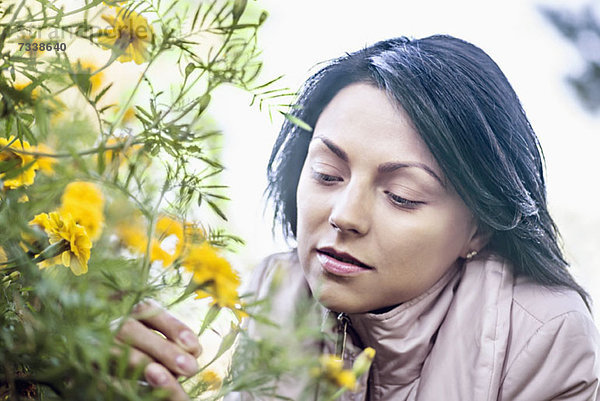 Eine junge Frau  die eine gelbe Wildblume in Betracht zieht.