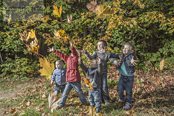 Fünf Kinder  die versuchen  fallende Herbstblätter zu fangen.