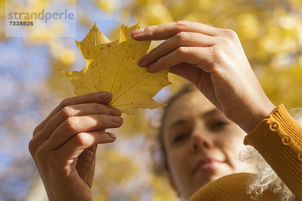 Eine Frau bei der Untersuchung eines Herbstblatts  Nahaufnahme der Hände