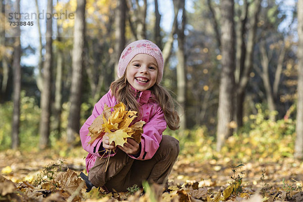 Ein fröhliches Mädchen  das Herbstlaub in einem Waldgebiet aufhebt.