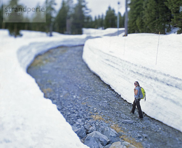 Wanderin auf freiem Weg auf dem Mount Seymour  Vancouver  Kanada