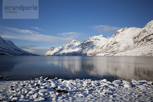 Ersfjord im Winter  Tromsö  Norwegen  Europa