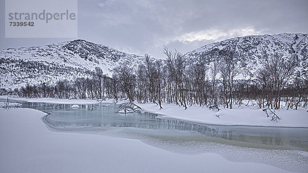 Eisbach  Winter in Norwegen  Europa