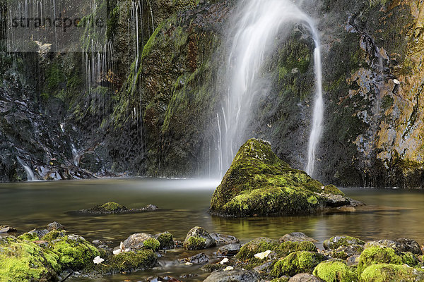 Wasserfall in der Wasserlochklamm bei Palfau  Liezen  Obersteiermark  Steiermark  Österreich  Europa