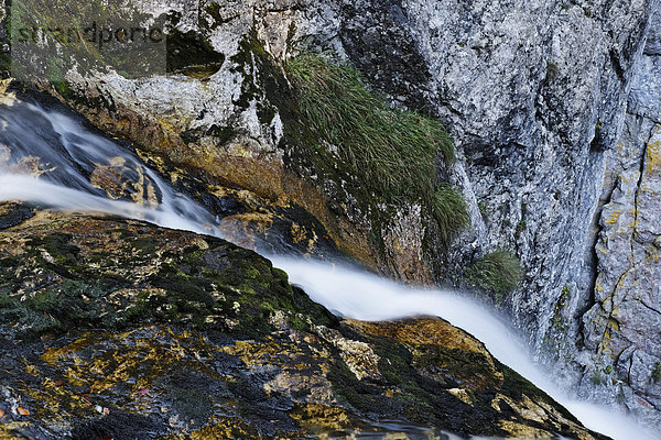 Wasserfall in der Wasserlochklamm bei Palfau  Liezen  Obersteiermark  Steiermark  Österreich  Europa
