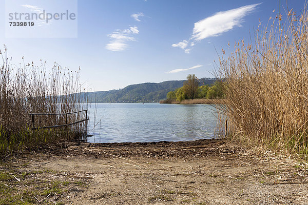 Seezugang in Ludwigshafen am Bodensee  Baden-Württemberg  Deutschland  Europa  ÖffentlicherGrund