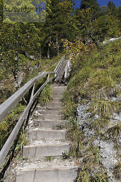 Treppen in der Wasserlochklamm  Palfau  Liezen  Obersteiermark  Steiermark  Österreich  Europa