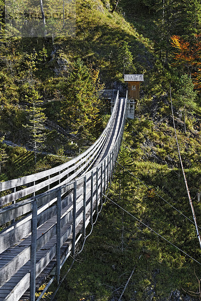 Hängebrücke über die Salza  Wasserlochklamm  Palfau  Liezen  Obersteiermark  Steiermark  Österreich  Europa
