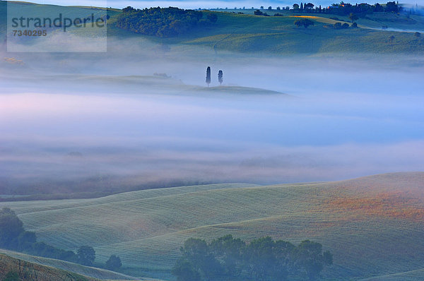 Val d'Orcia in der Morgendämmerung  Morgennebel  UNESCO Weltkulturerbe  Provinz Siena  Toskana  Italien  Europa