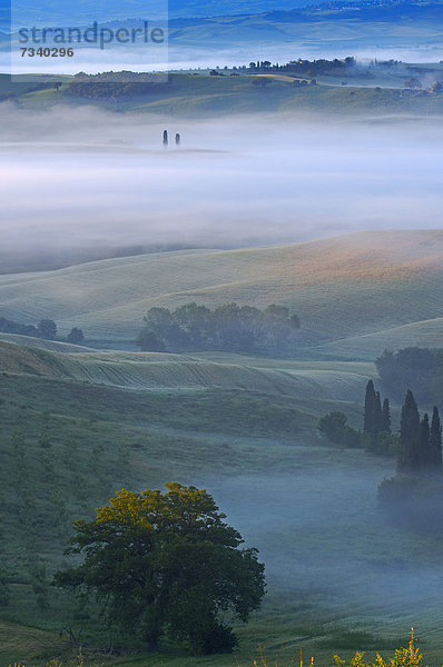 Val d'Orcia in der Morgendämmerung  Morgennebel  UNESCO Weltkulturerbe  Provinz Siena  Toskana  Italien  Europa