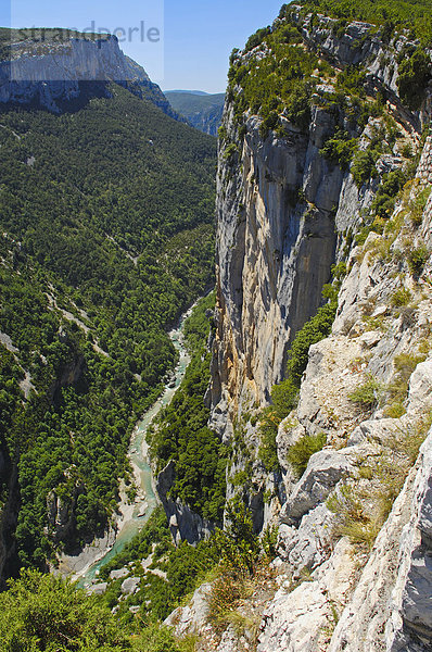 Verdonschlucht  Gorges du Verdon  auch Grand Canyon du Verdon  Regionaler Naturpark Verdon  Provence  Provence-Alpes-Cote-d'Azur  Frankreich  Europa