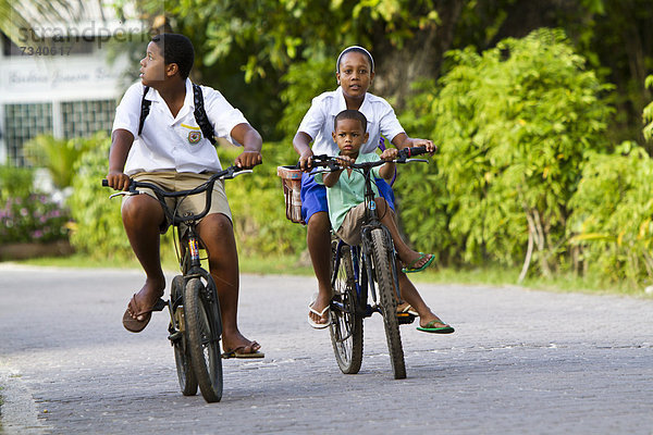 Kinder in Schuluniformen beim Radfahren  Insel La Digue  Seychellen  Afrika  Indischer Ozean