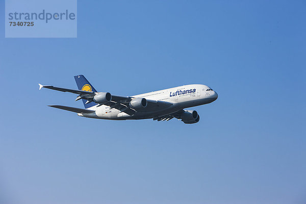 Ein Airbus A 380 der Lufthansa im Landeanflug auf den Frankfurter Flughafen  Frankfurt  Hessen  Deutschland  Europa