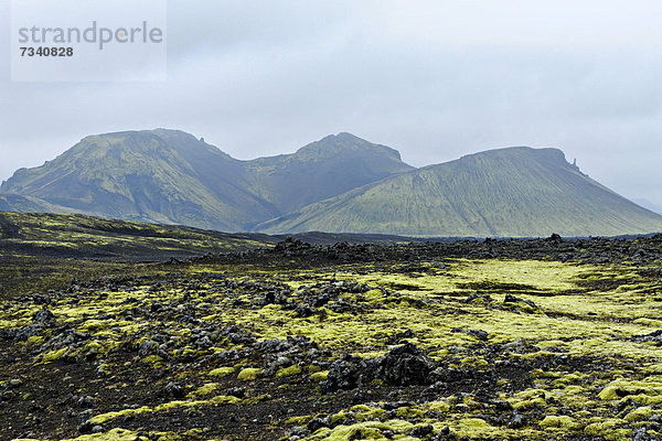 Vulkanlandschaft in der Nähe von Landmannalaugar  Island  Europa