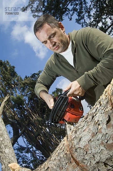 Mann zersägt einen Baumstamm