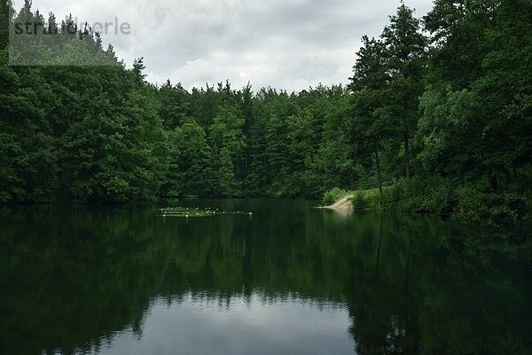 Bade- und Angelsee bei Darmstadt-Kranichstein  Hessen  Deutschland