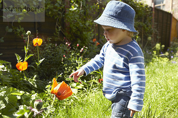 Jungen untersuchen Blumen im Garten