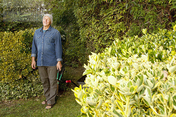 Älterer Mann  der im Garten arbeitet