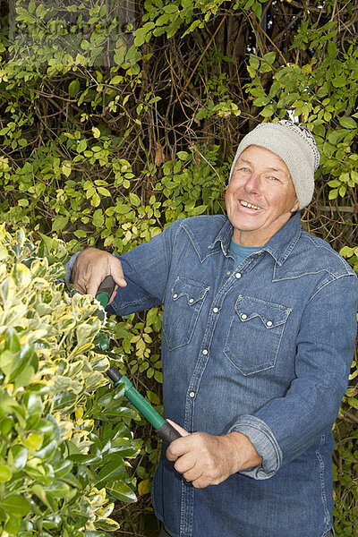 Älterer Mann beim Heckenschneiden im Garten