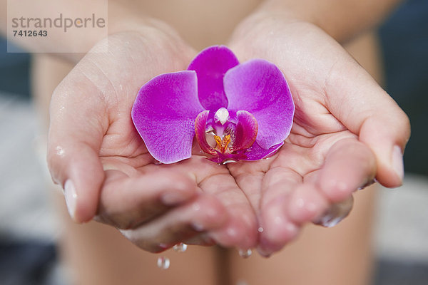 Frau beim Schröpfen der Orchidee in den Händen