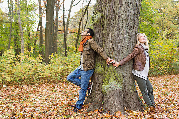 Paar hält Hände um den Baum herum