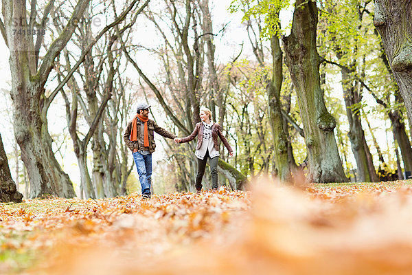 Paar hält sich im Wald an den Händen