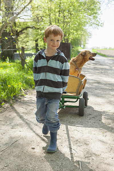 Junge Zugwagen mit Hund