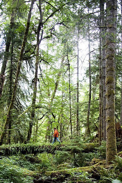 Mann  grün  Wald  Kreuzform  Kreuz  Kreuze  Olympische Spiele  Olympiade  dicht