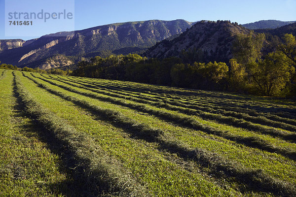 Berg  Landschaft  Feld