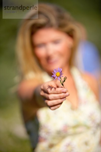 Sommer