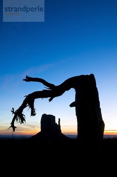 Baum  Silhouette  Tal  Monument  Fäustling  Arizona  Rahmen  1  Form  Formen  bizarr