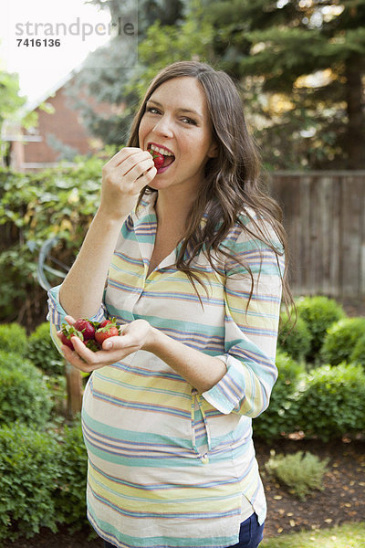 Portrait Frau Schwangerschaft Mittelpunkt Erdbeere essen essend isst Erwachsener