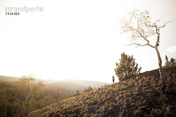 Berg  Sonnenuntergang  wandern  Mittelpunkt  Mädchen  Utah