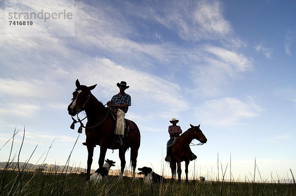Sonnenuntergang  Silhouette  Tal  Hund  Nevada  2  Cowboy  James W. Dalton Highway  Klee  Ranch