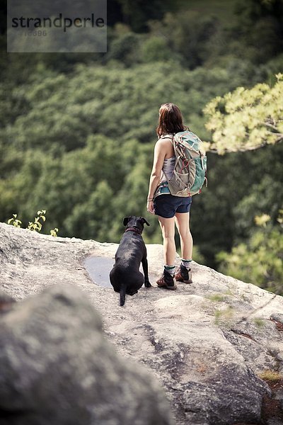 über Wald Hund Aussichtspunkt wandern Dummheit hinaussehen