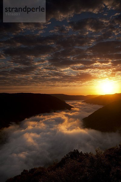 Farbaufnahme  Farbe  Wolke  über  Sonnenaufgang  Nebel  Fluss  Schlucht