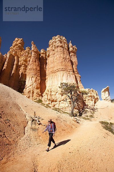 Frau  wandern  jung  Bryce Canyon Nationalpark  Schlucht