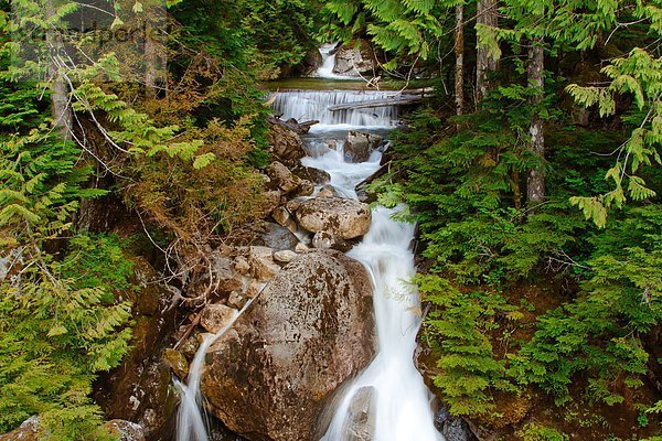 Wald  Vancouver