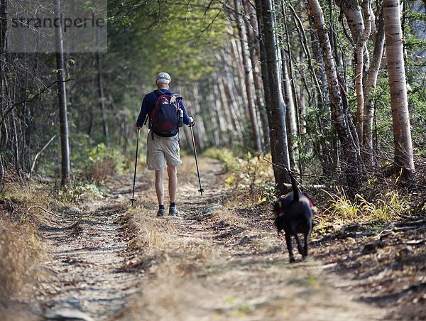 Rucksack  Spur  Laubwald  Mann  gehen  Hund  schmutzig  Kleidung  vorwärts  Maine