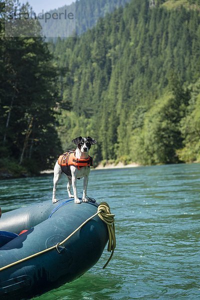 River Rafting.