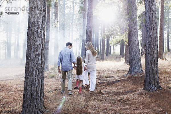 Familie beim Händchenhalten und Wandern in sonnigen Wäldern