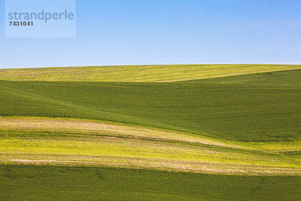 Sonne und Schatten über sanften Hügeln