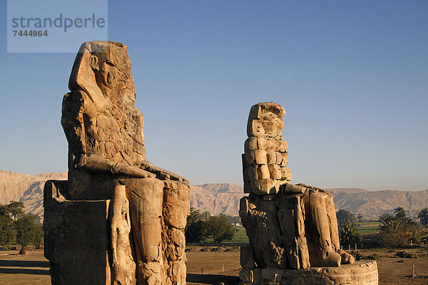 Memnonkolosse  Luxor  Ägypten