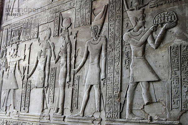 Hieroglyphen und Figurenrelief im Tempel von Kom Ombo  Ägypten