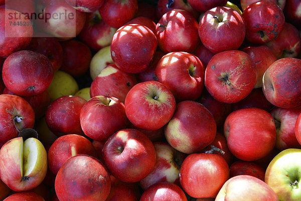 Äpfel auf einem Markt