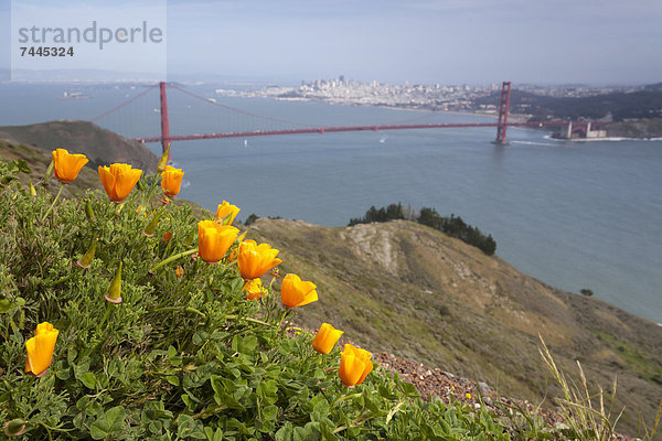 Golden Gate Bridge  Kalifornien  San Francisco  USA