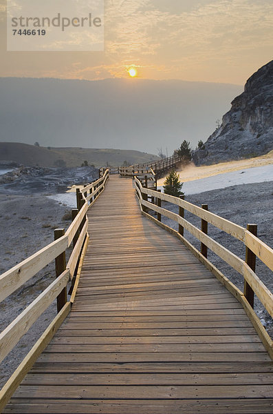 Nationalpark Quelle Wärme Sonnenaufgang Holzweg Yellowstone Nationalpark Mammut Wyoming