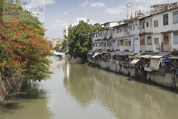 Bangkok Hauptstadt Blüte rot vorwärts Südostasien Asien Thailand