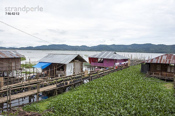 Südostasien Asien Indonesien Sulawesi